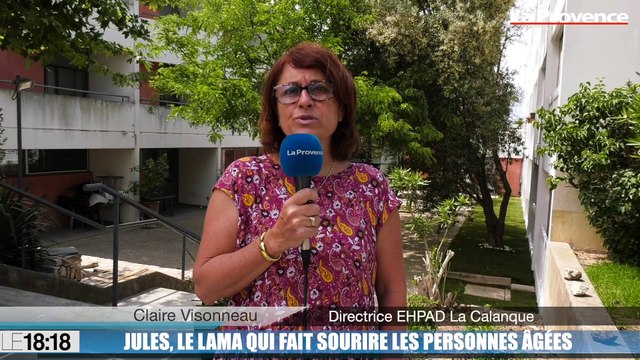 Le 18:18 - La belle histoire : Jules, ce lama qui redonne le sourire aux personnes âgées