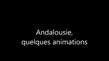 Andalousie - choses vues