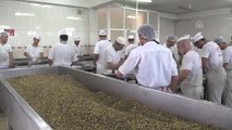 Şanlıurfalı baklavacıların 