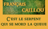 Français caillou / Définition du jour : 