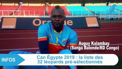 Voici les 32 Léopards pré-sélectionnés pour la CAN TOTAL Egypte 2019 !