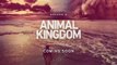 Animal Kingdom - Promo 4x02