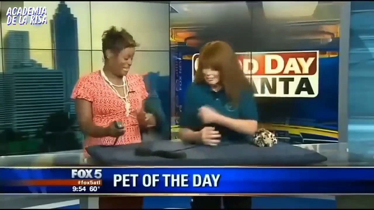 VIDEOS DE RISA 2019 Ї Nuevos y mas divertidos videos Videos Graciosos 2019 # 3