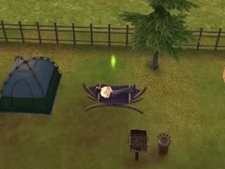 sims 2 craccrac camping