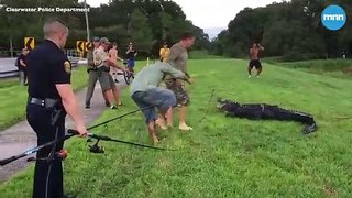 Alligator Bites Man Leg Playing Disc Golf in Florida!