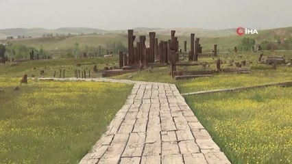 Tarihi Selçuklu mezarlığı sarıya büründü