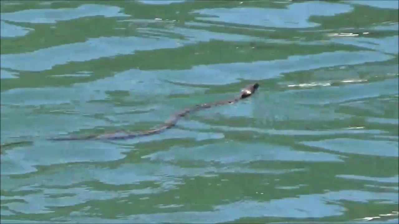 lac  virieu le grand   01  - camping car - lulu du jura