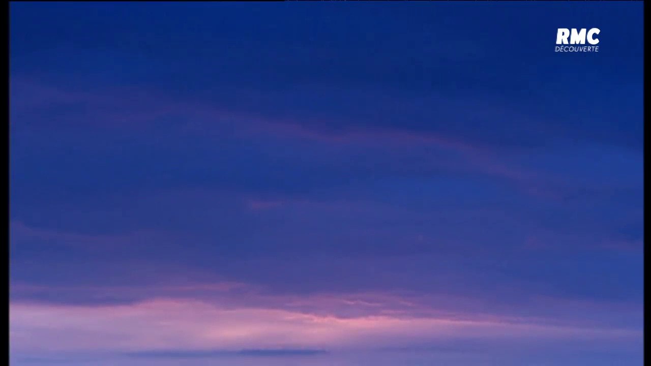 6 JUIN 44: PAROLES DE SOLDATS LA BATAILLE DE CAEN