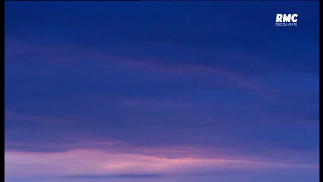 6 JUIN 44: PAROLES DE SOLDATS LA FUITE ALLEMANDE