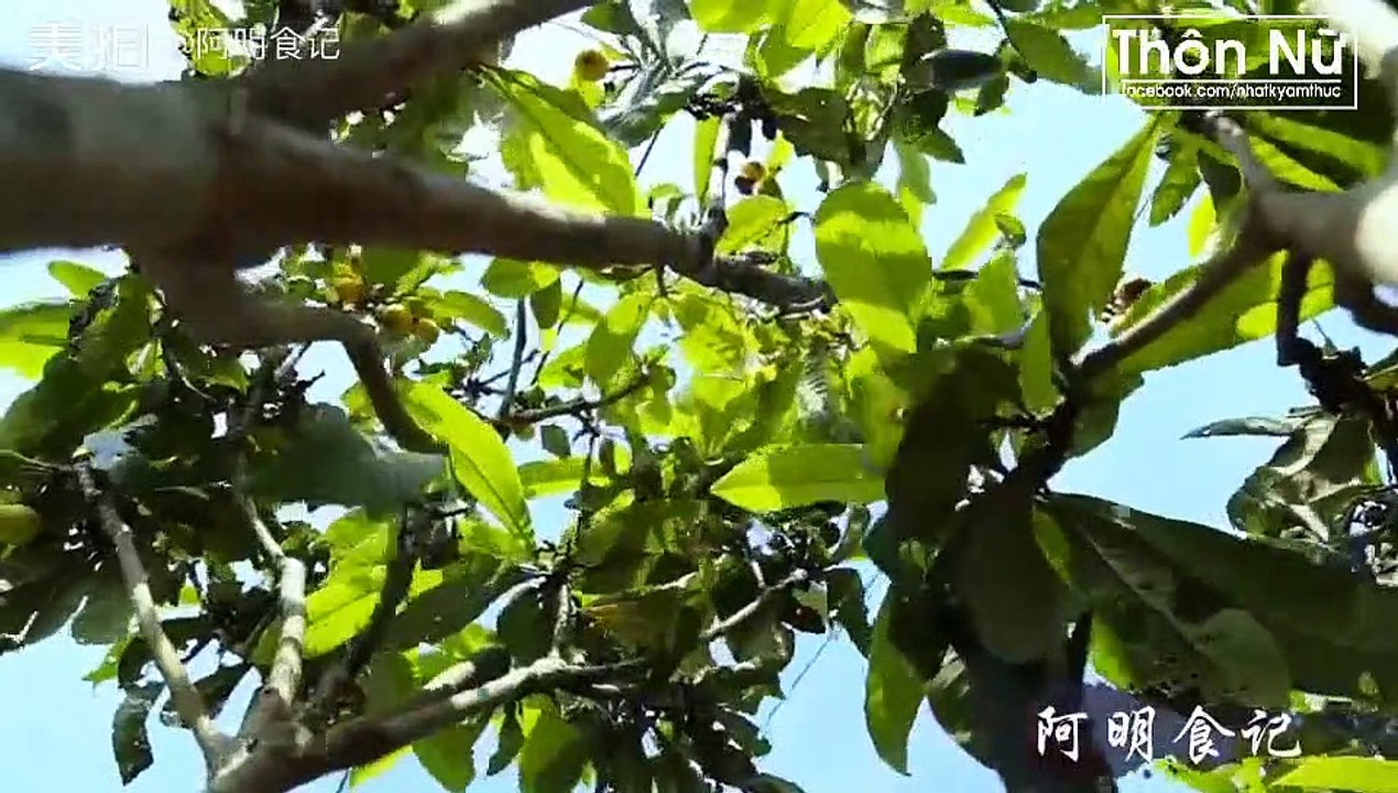 A Minh