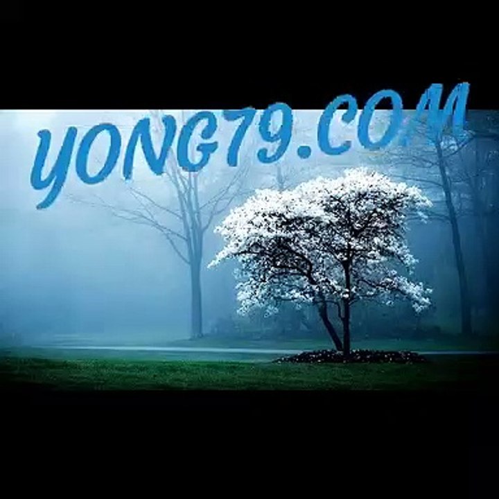 마이다스카지노 바로가기 ▶  yong79。com 홈카지노 めに현대기아차]현대차그룹이
