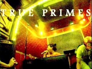 True Primes by Fritz Donnelly