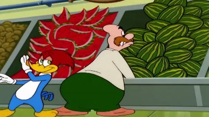 El Pajaro Loco en Español | Las Todo Por el Firo | Dibujos Animados en Español