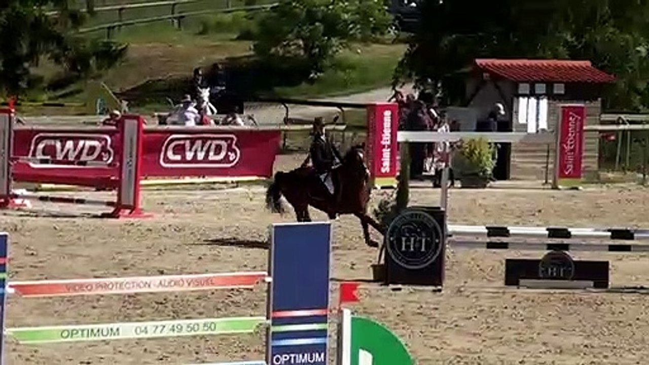 Epreuve n°3 n°17 DAFFY MARINE/QUIDAME DES ISLOTS