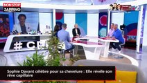 Sophie Davant célèbre pour sa chevelure : Elle révèle son rêve capillaire (vidéo)