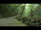 【旅遊】清涼步道／內湖大溝溪親水步道 遊覽豐富生態