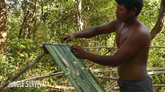 Jungle Survival - Building Bamboo Bullfrog Hut And Feeding Giant Frogs In Bamboo