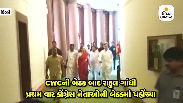 સોનિયા ફરી સંસદીય દળના નેતા બન્યા, રાહુલે કહ્યું- પાર્ટીનો દરેક સભ્ય બંધારણ માટે લડતો રહેશે