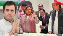 Rahul Gandhi के Amethi में हार की वजह क्या Akhilesh Mayawati की ये गलती ? | वनइंडिया हिंदी