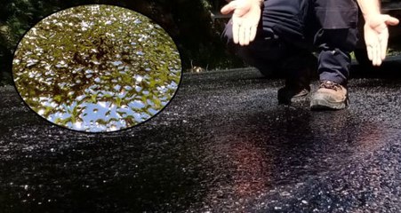 Ovit yolunda asfalt sıcaktan eridi