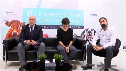 CONGRESO MSD - PÍLDORAS DE BIENESTAR PORCINO