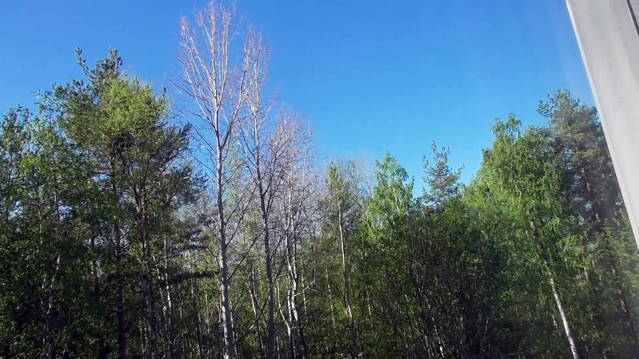 May 17 2019 DL2