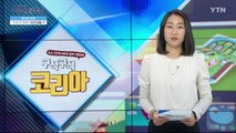 [6월 2일 시민데스크] 내가 본 DMB - 구석구석 코리아 '강원 영월' 편 / YTN