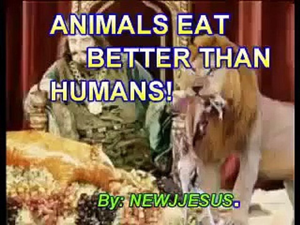 ANINALS EAT BETTER THAN HUMANS!!