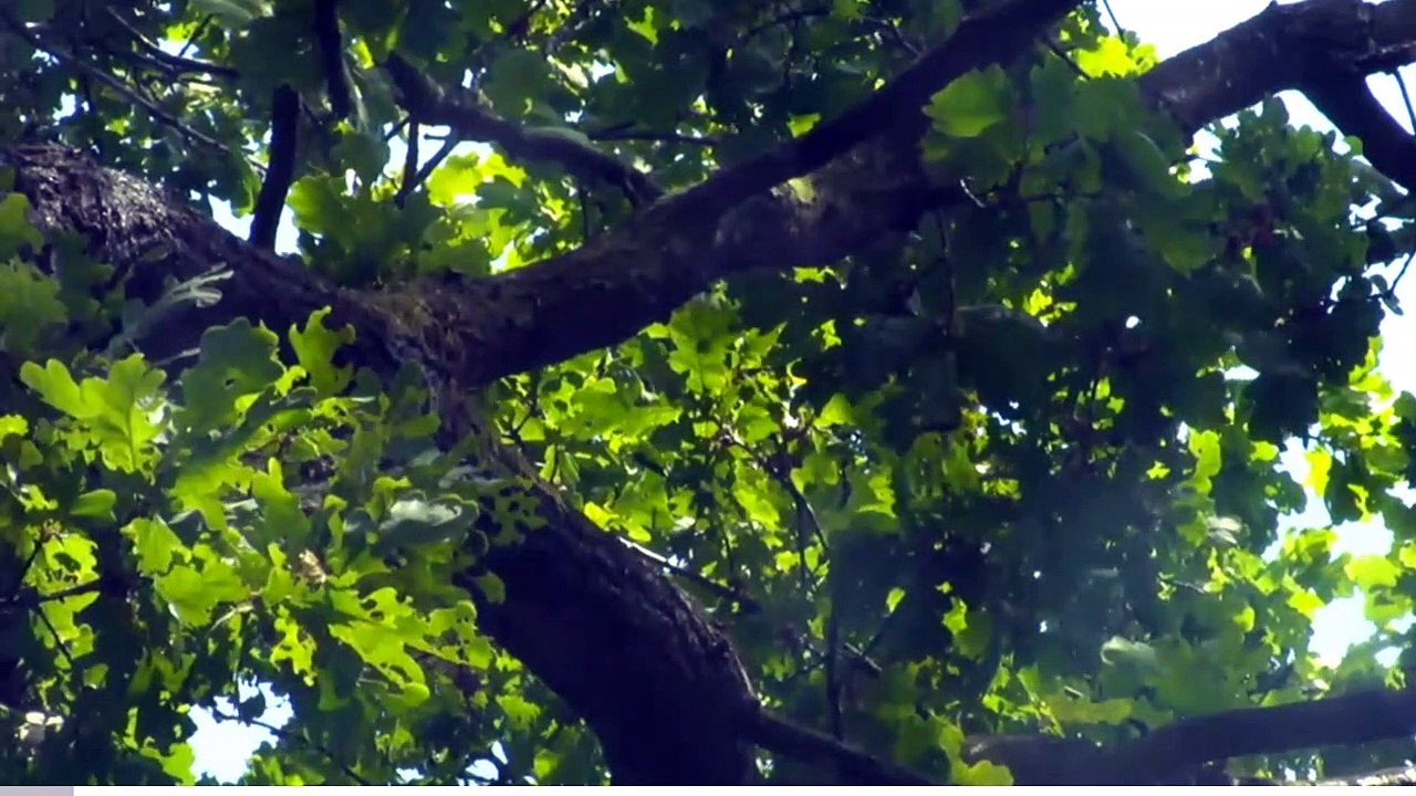Sjellie presenteert en zet de bewoners in het zonnetje _2019_06_01_17_49
