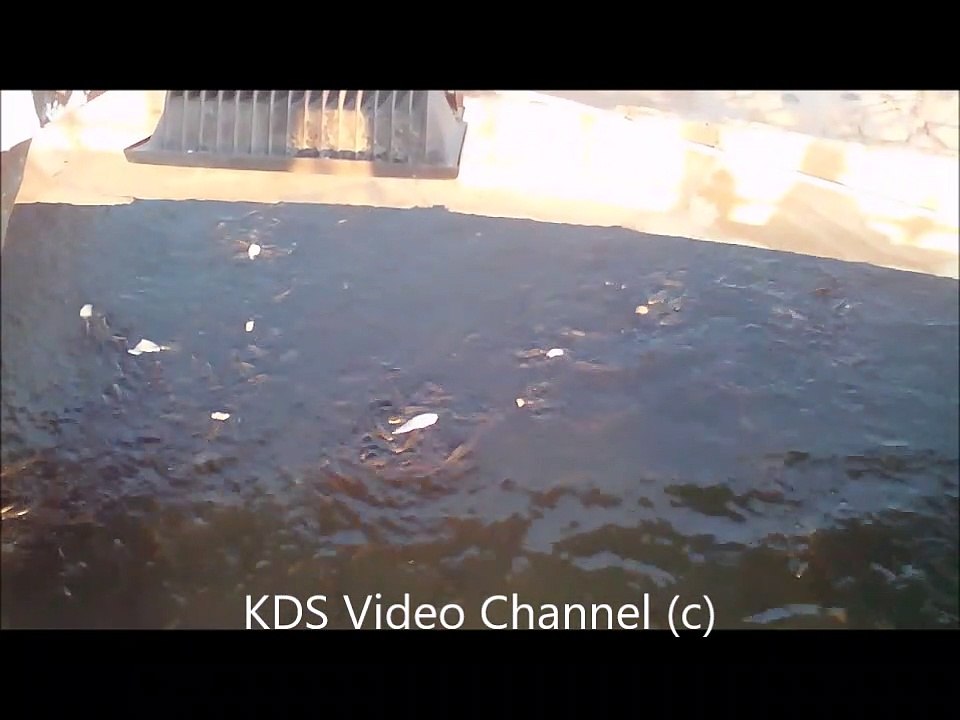 KUŞADASI Davutlar Plaji LİMAN  BALIKÇI BARINAĞI. Agustos 2018.  KUŞADASI Davutlar Fischer Hafen.