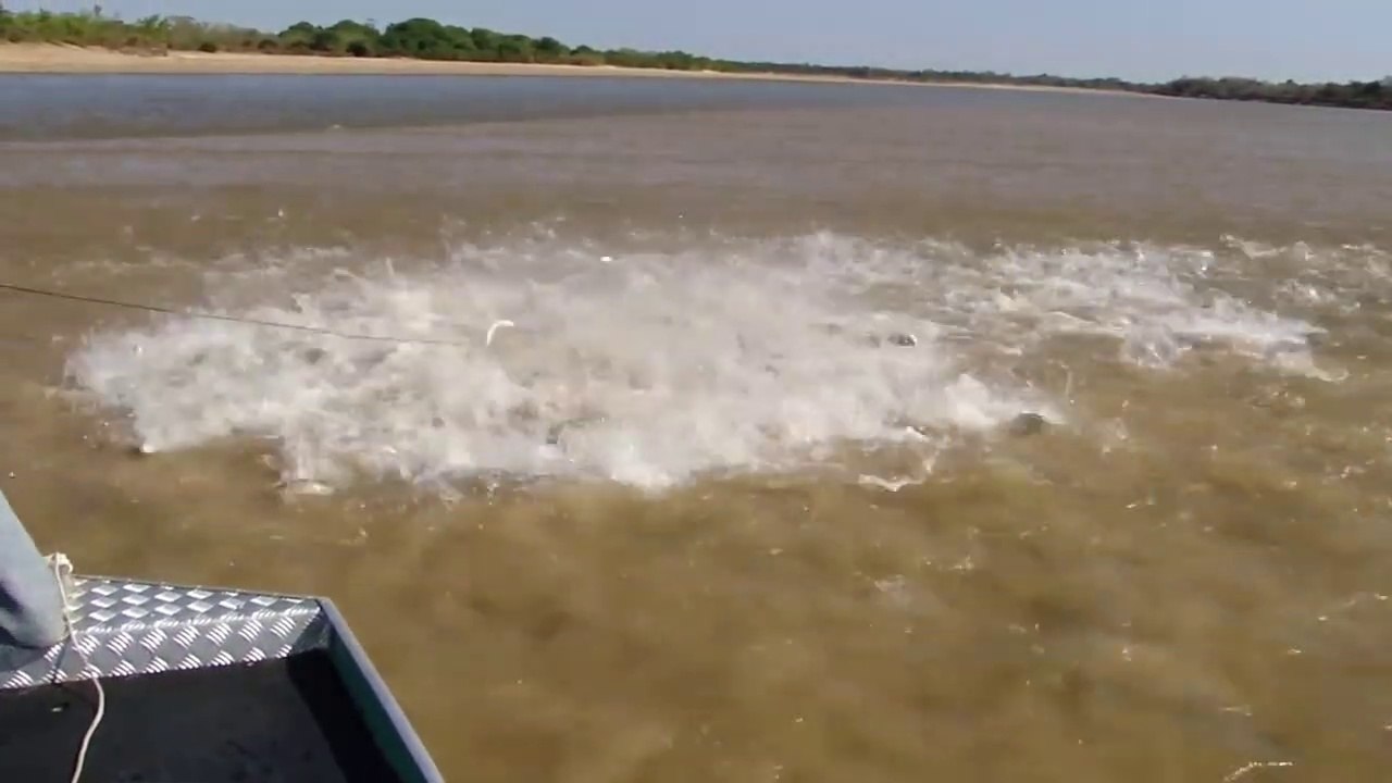 Ce pecheur va comprendre ce qu'est une pêche miraculeuse