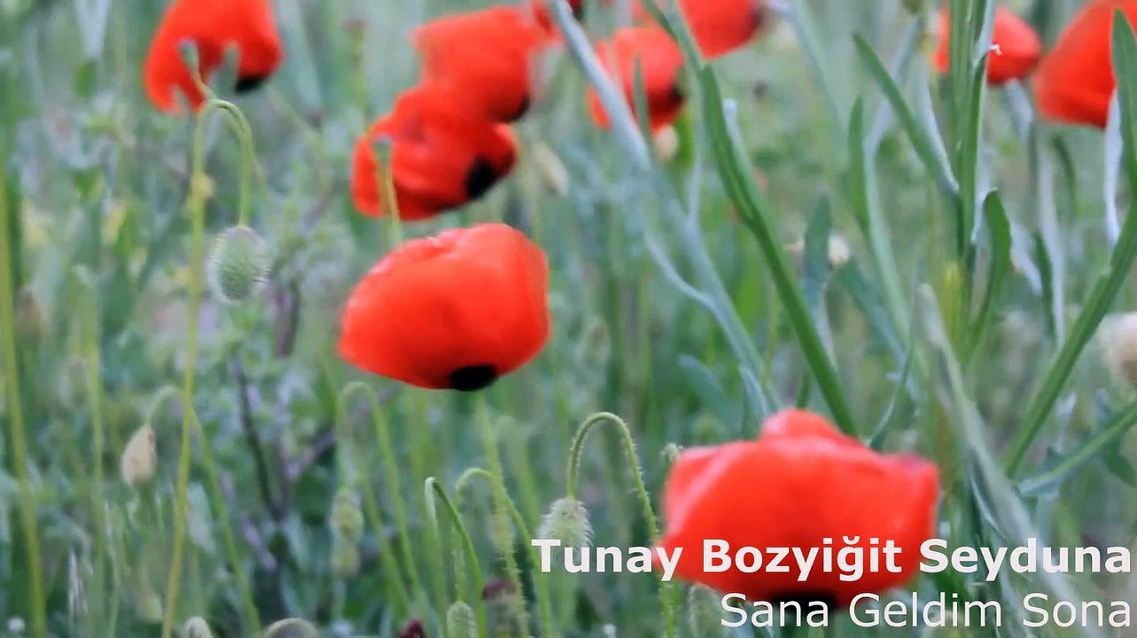 Tunay Bozyiğit - Sana Geldim Sona