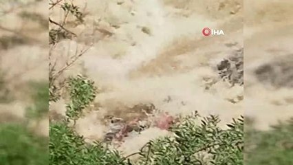 Kayıp kızın cansız bedeni bulundu