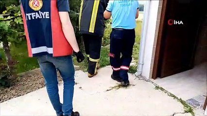 Tuvalete giren 2 metrelik yılan korkuttu