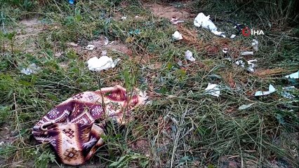 Bayram tatili acıya dönüştü: 5 yaralı