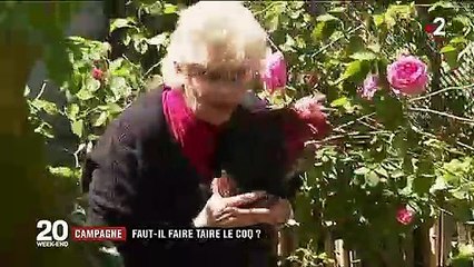 Campagne : le coq chante-t-il trop fort ?