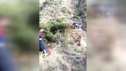 Eşekten düşerek uçuruma yuvarlanan kişiyi itfaiye kurtardı