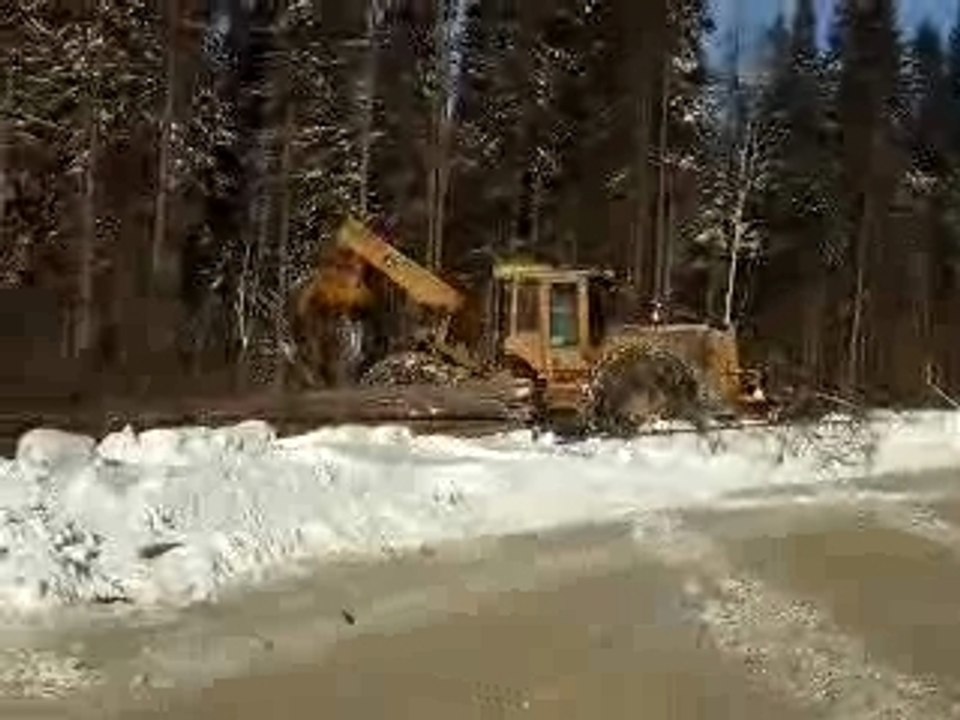 Skidder grapple en opération #2