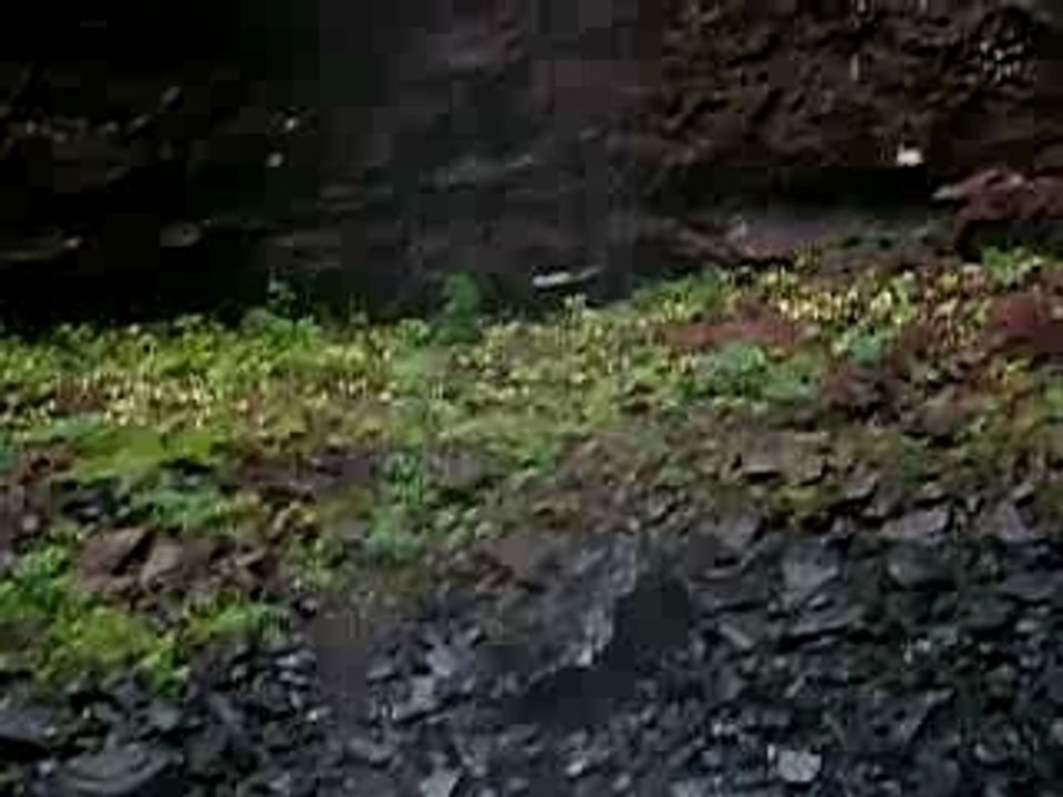 MOV00546