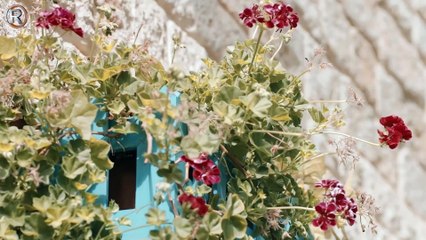 محمد الفارس -أغنية ام جهالي