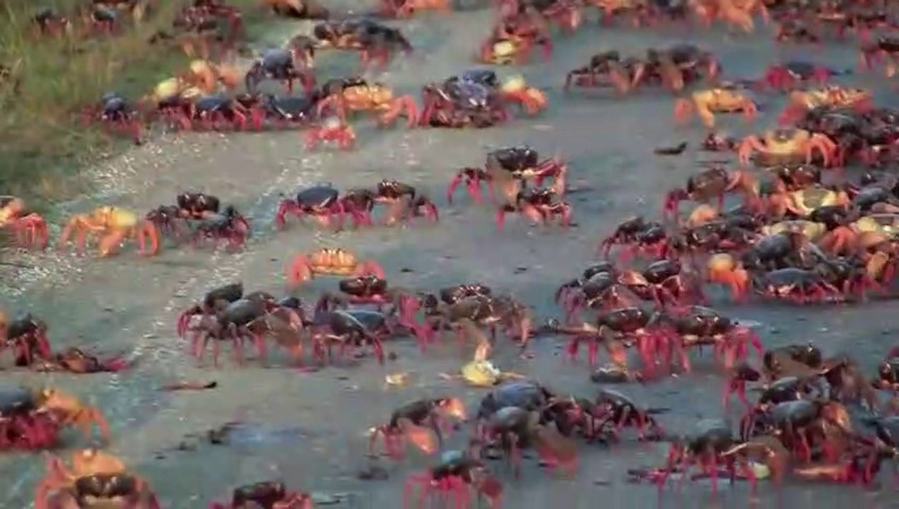 Spectacular_Nature_Occurrence