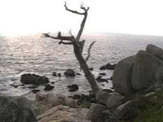 13- Big Sur y Carmel