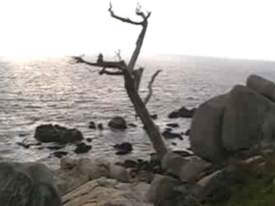 13- Big Sur y Carmel