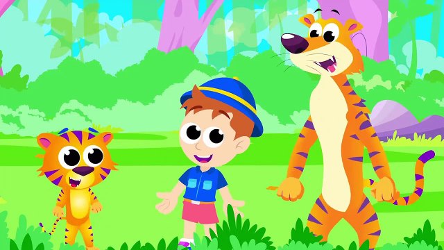 Little Racoon Sneaks Around, Tiger Dance, Where's my Bum?, Animals Compilation by Little Angel