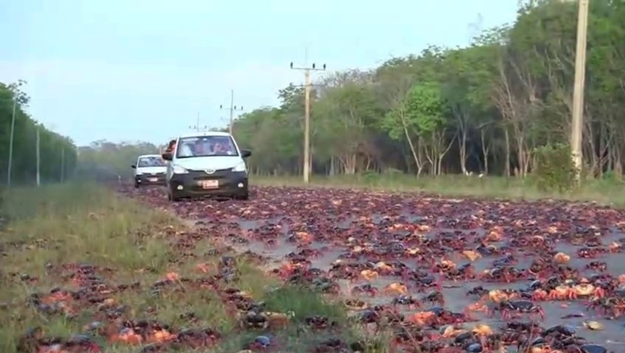 Spectacular_Nature_Occurrence