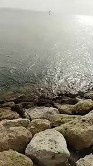 طبيعة بلا حدود