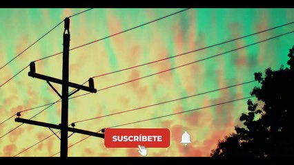 Videos  de terror 2019 horror video