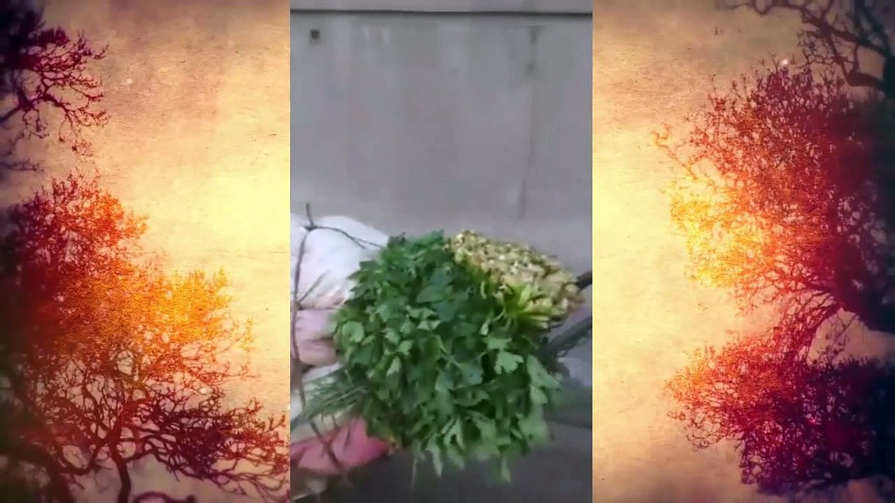 رجل عجوز يذهب بالبضاعة من مارشي كريو إلـى المدينة القديمة جاريا