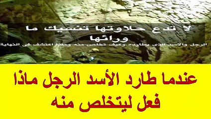 عندما طارد الأسد الرجل ماذا فعل ليتخلص منه