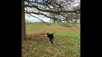 Funniest Fails 2019  The Ultimate Girls Fail Compilation 2019